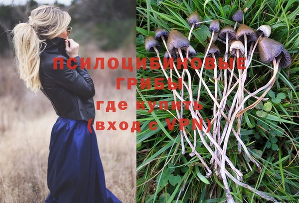 крисы Бугульма