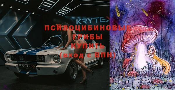 крисы Бугульма