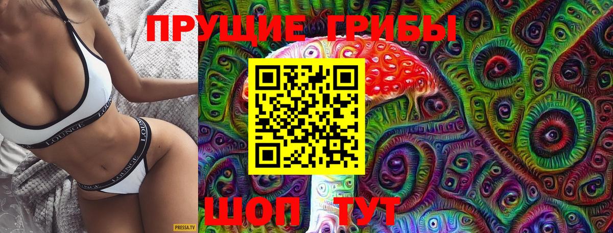 Псилоцибиновые грибы Cubensis Армавир